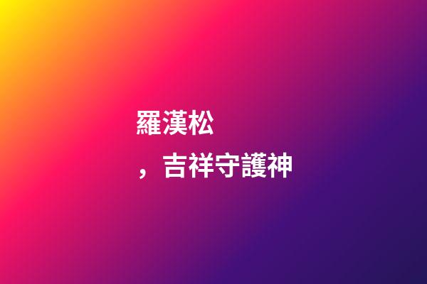 羅漢松，吉祥守護神